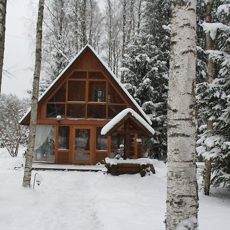 Holiday Home Berzlejas Upesgriva Værelse billede